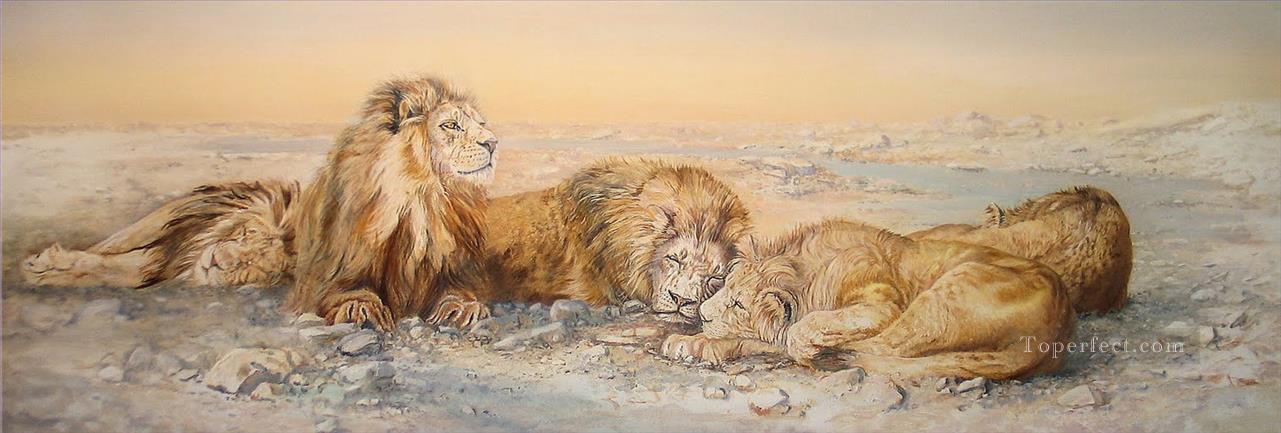Löwen in der Wüste Ölgemälde